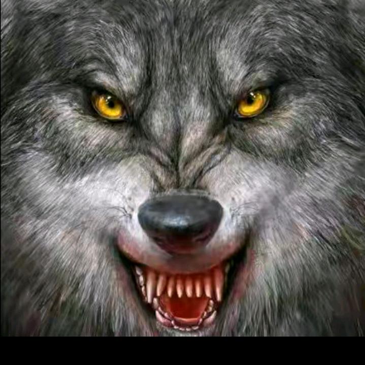 狼🐺A