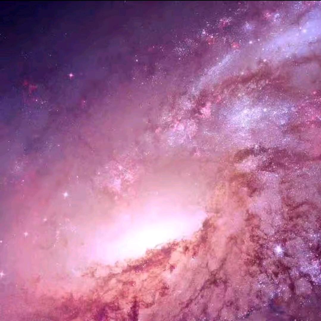 河清海晏～紫土