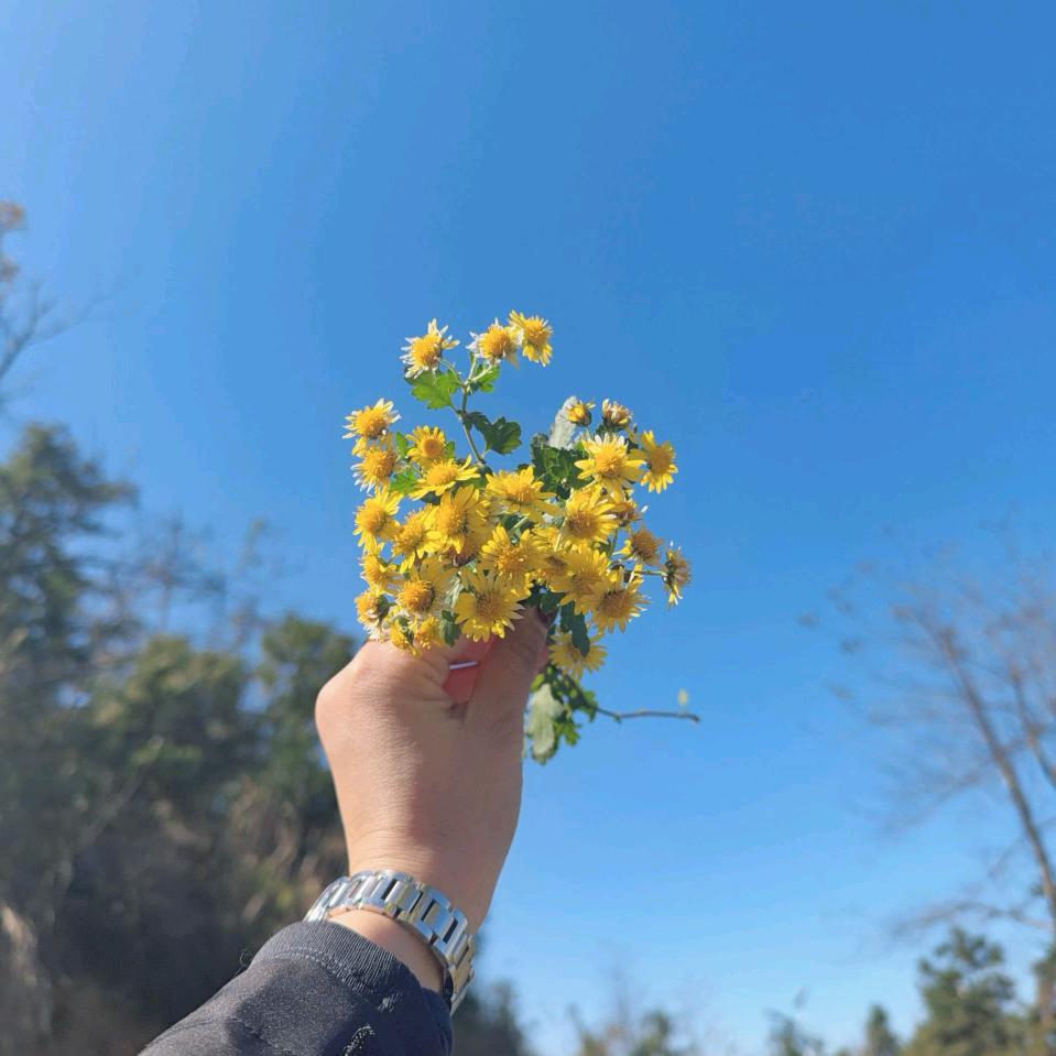 时间煮雨·我煮好物