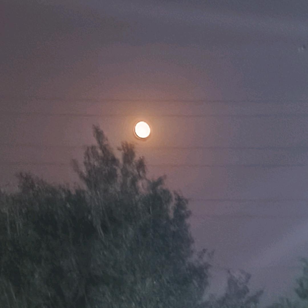 沐沐