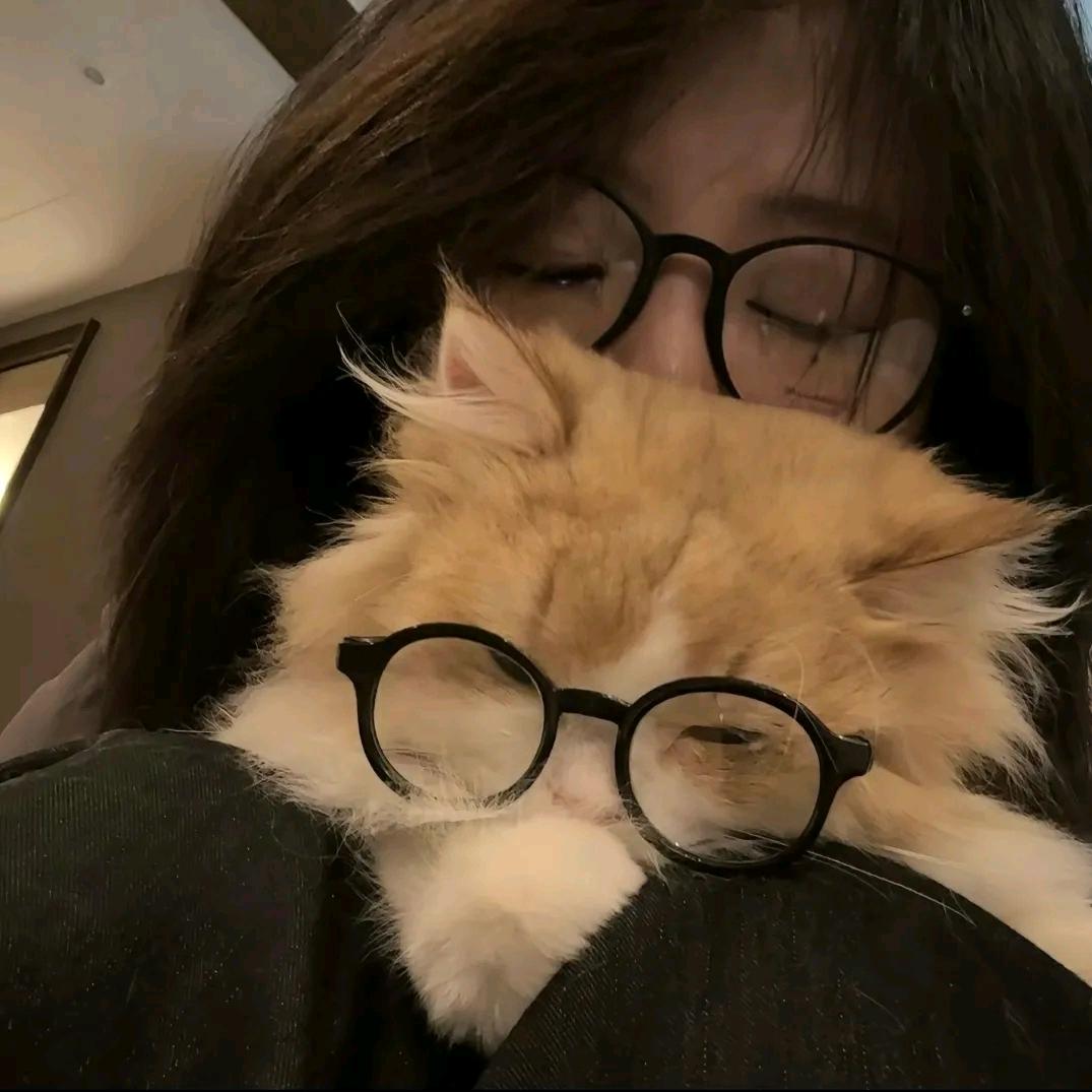 秋雨不问梧桐意ᴶᵀ