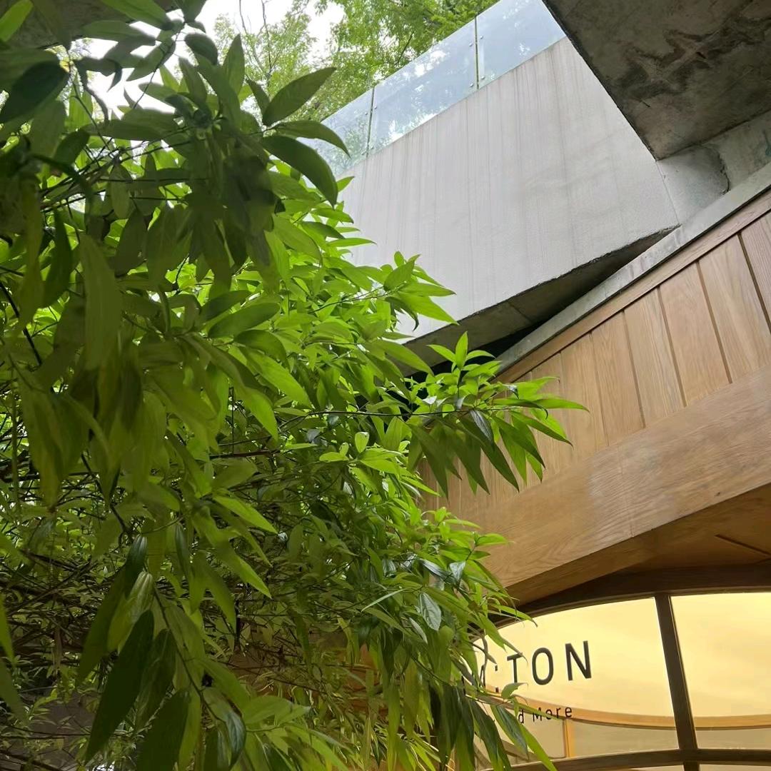 钢筋混凝土黄大锤