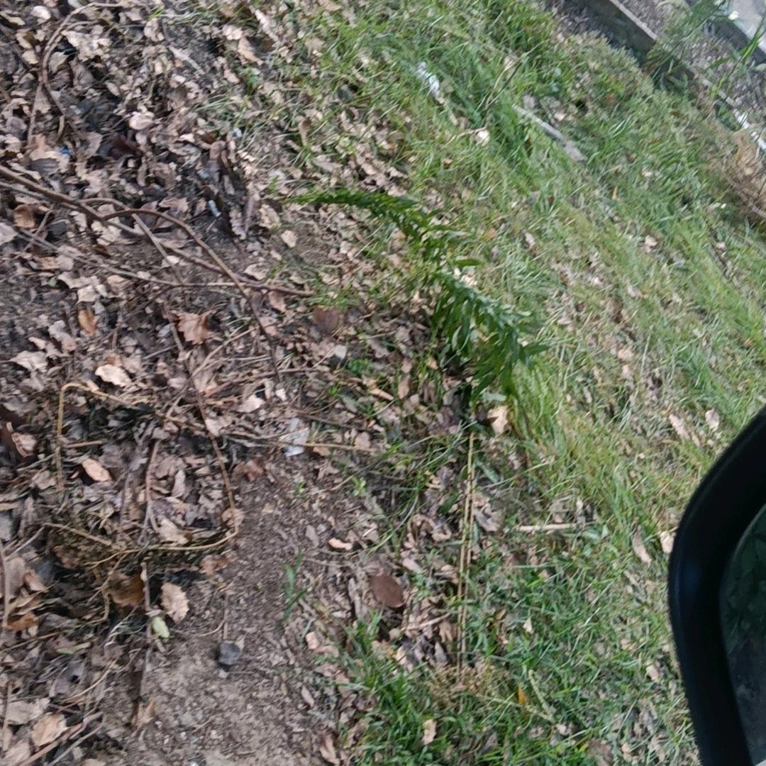 张幸福！一生都在外讨饭的路上