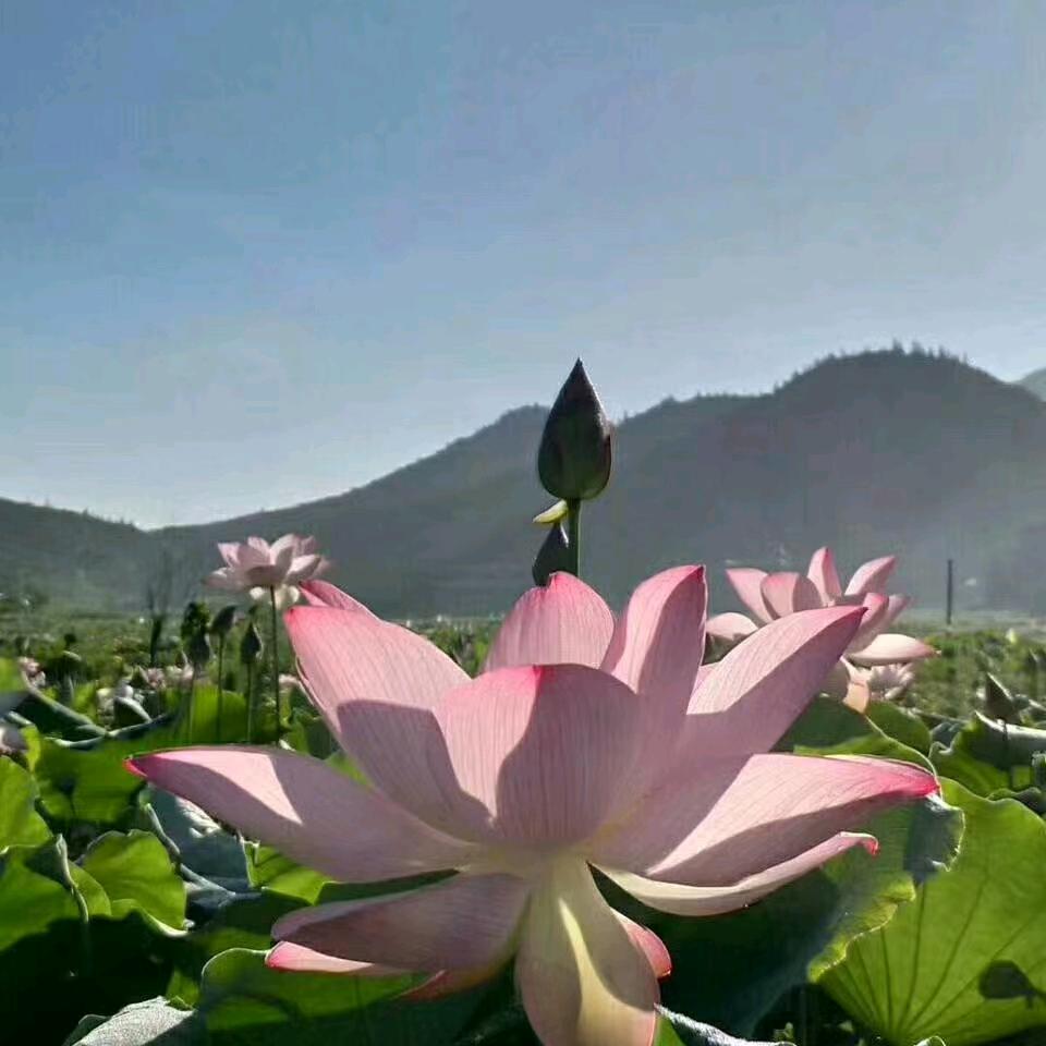 上新的生活出发