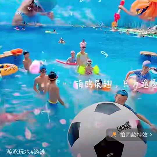老虎