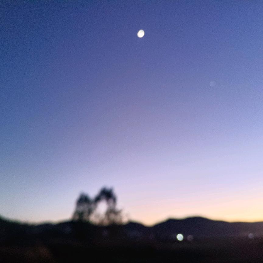 ƪ(˘⌣˘)ʃ优雅月亮归你₍˄·͈༝·͈