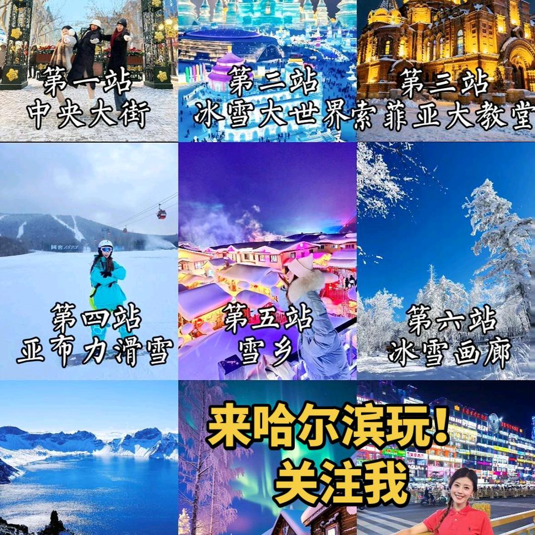 小七哈尔滨领队