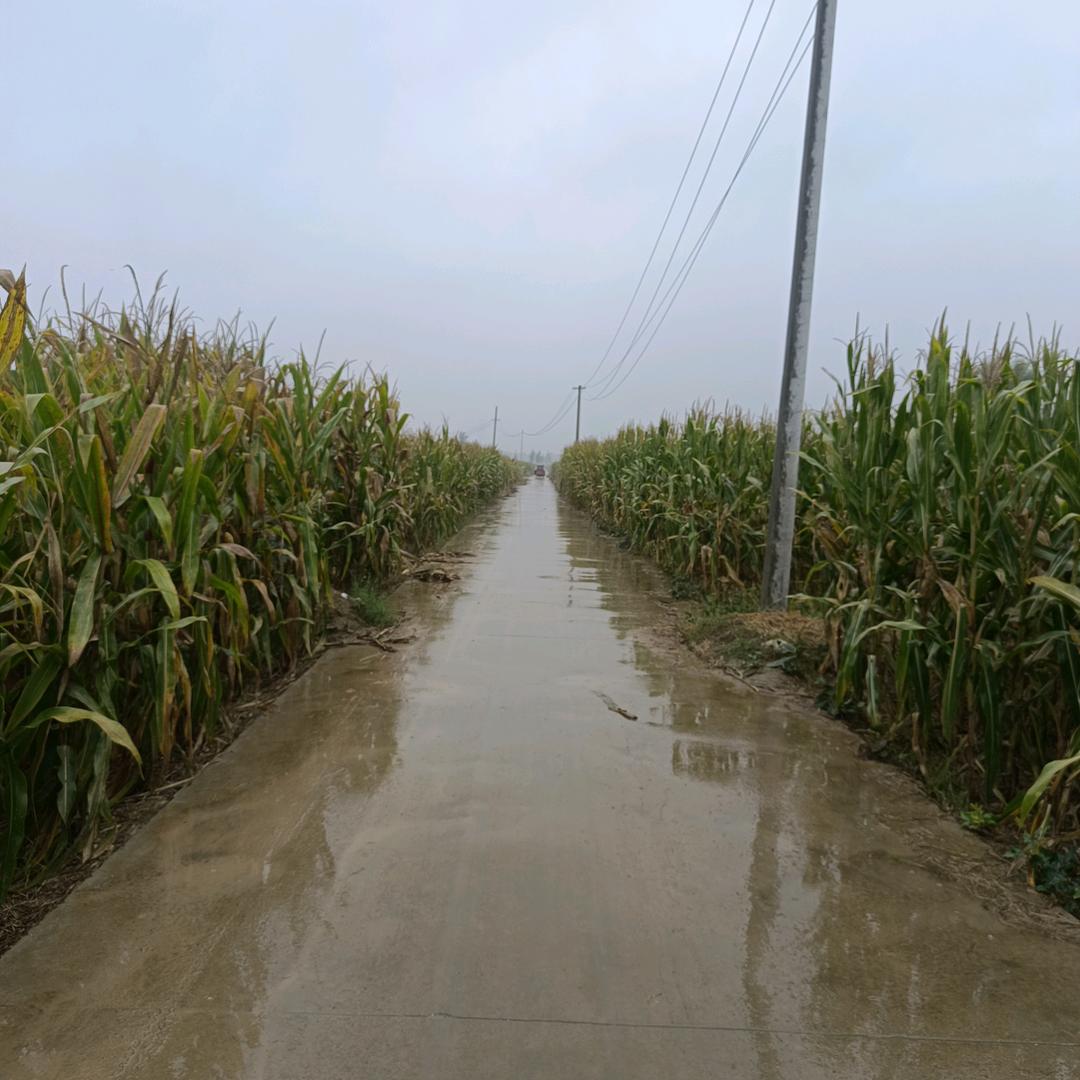 小状元牛肉汤官方号