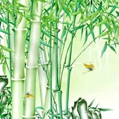 别具一葛