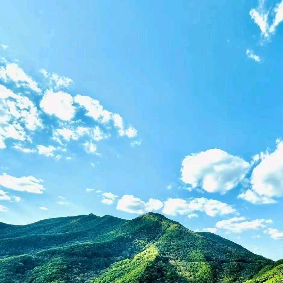 百万大虾