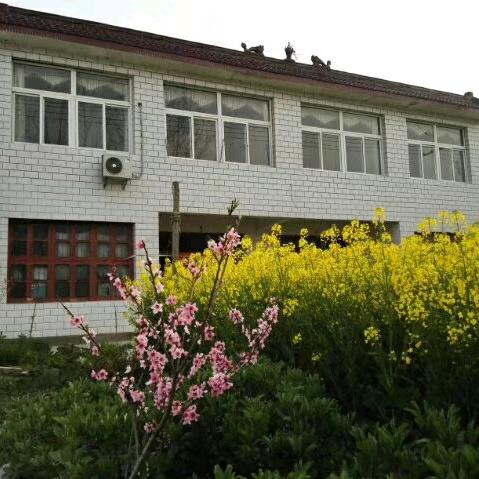 岁岁安澜
