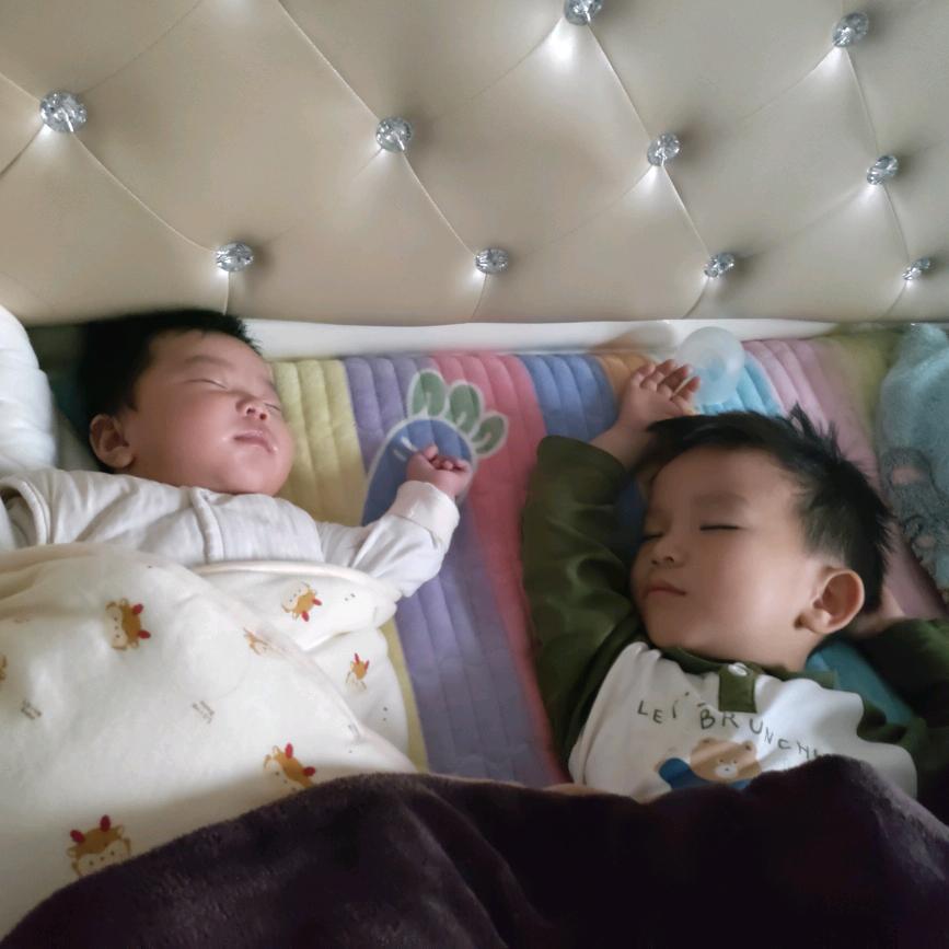 小子儒