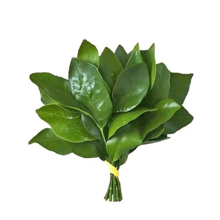 潇洒走一生