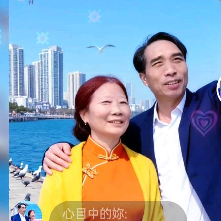 心中的您无人能替