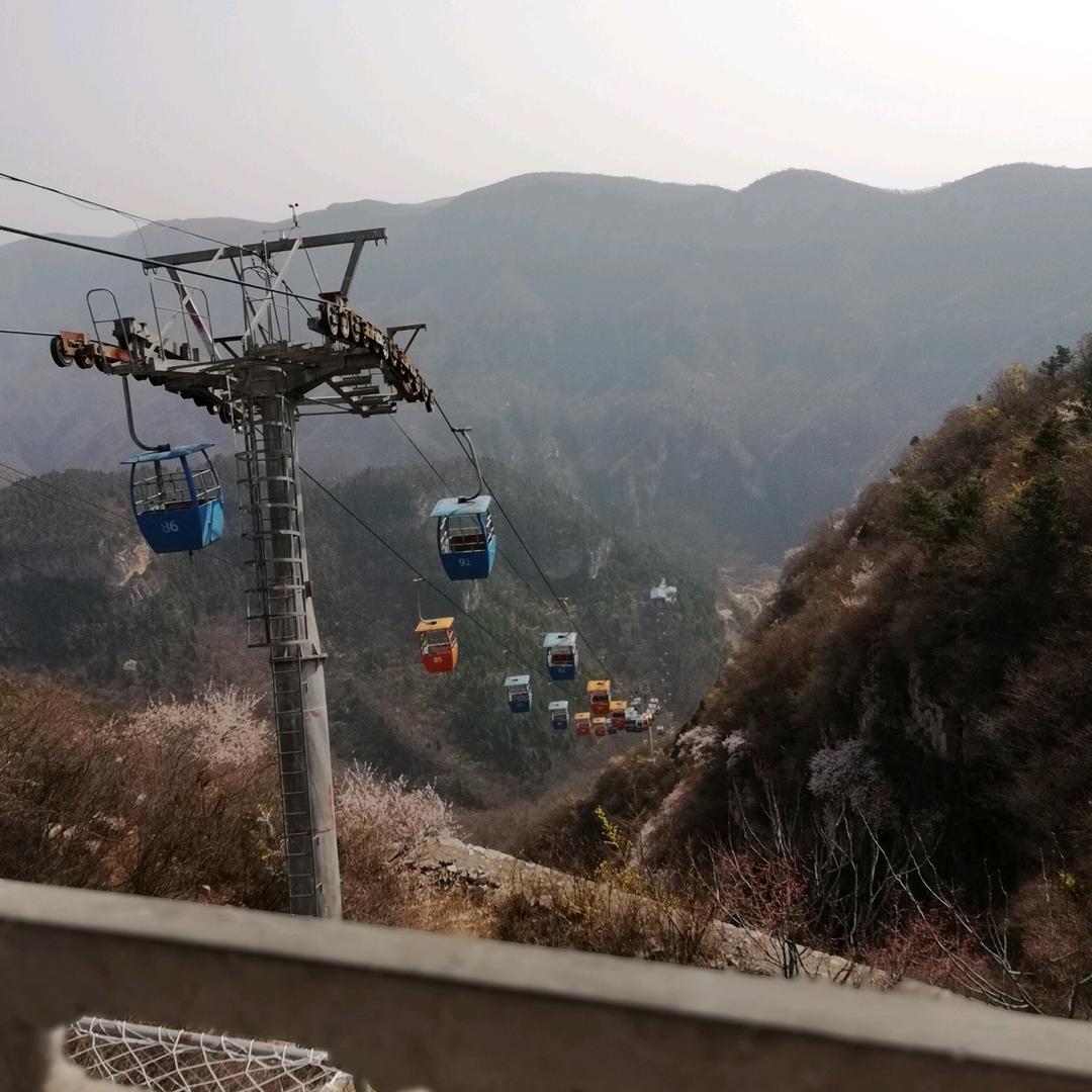 辛雨