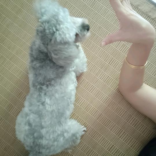 有缘人