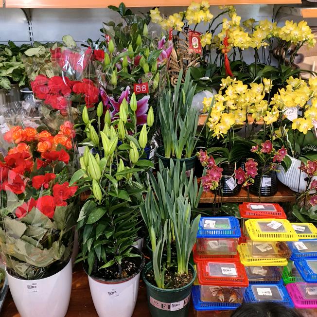 忘记一个人好难