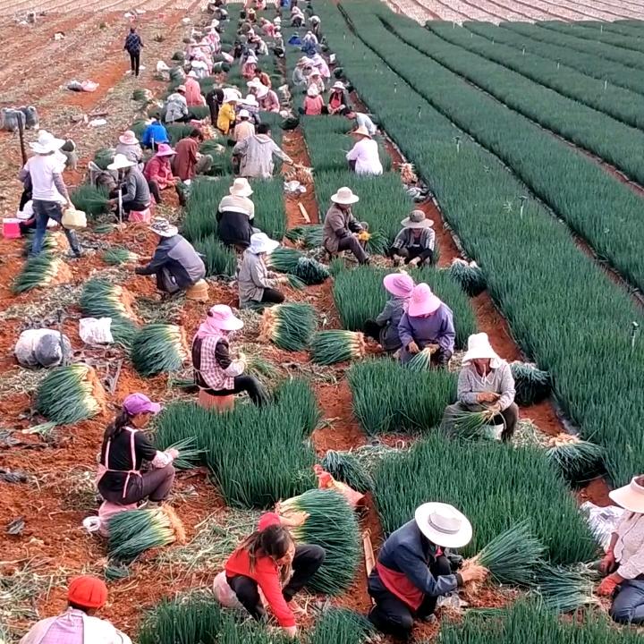 建水县伊香饼屋