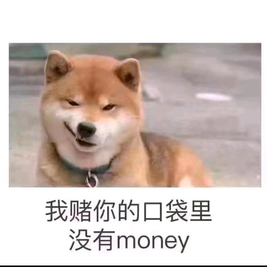 小宝宝