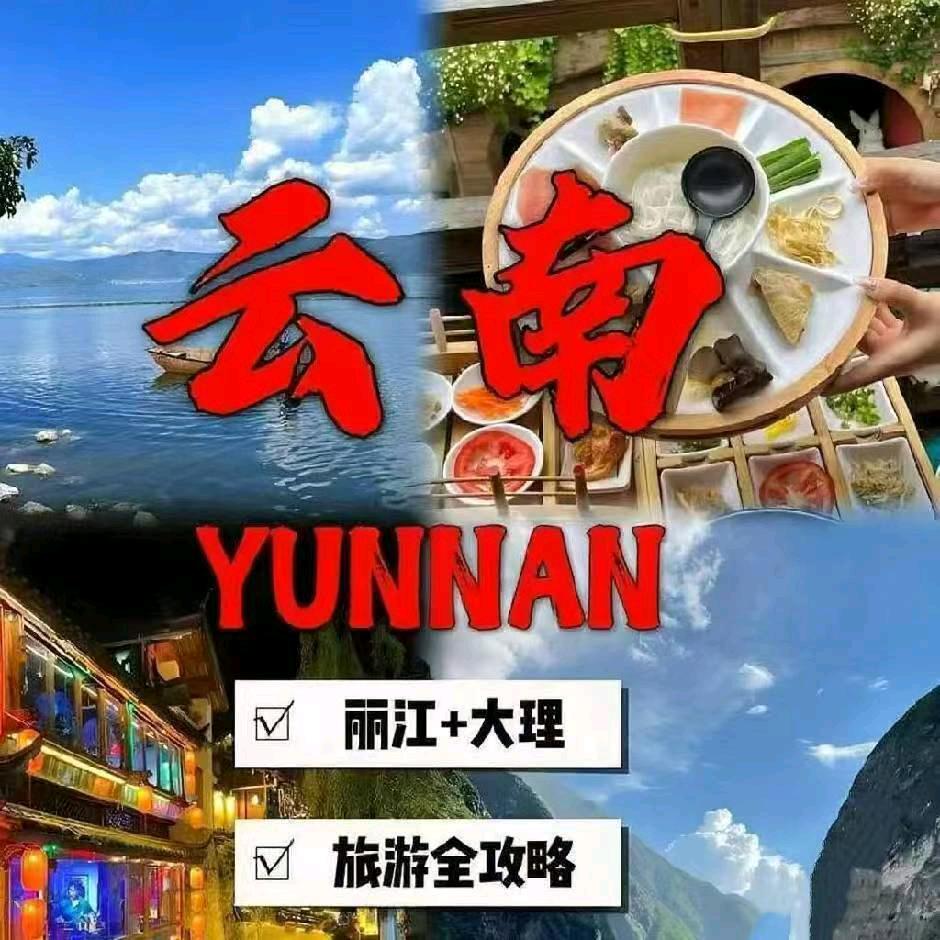 浪赤行歌咨询