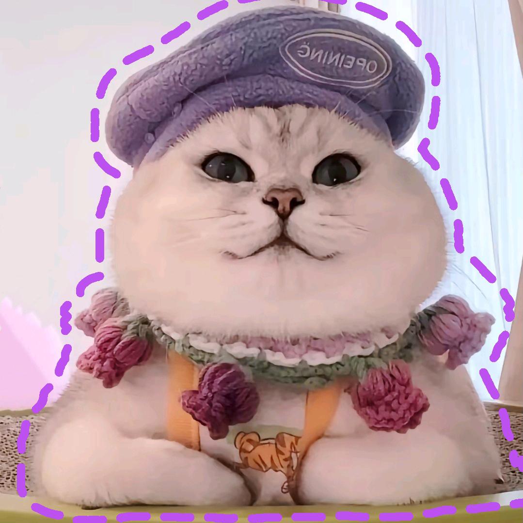 芬儿头是喵喵大王