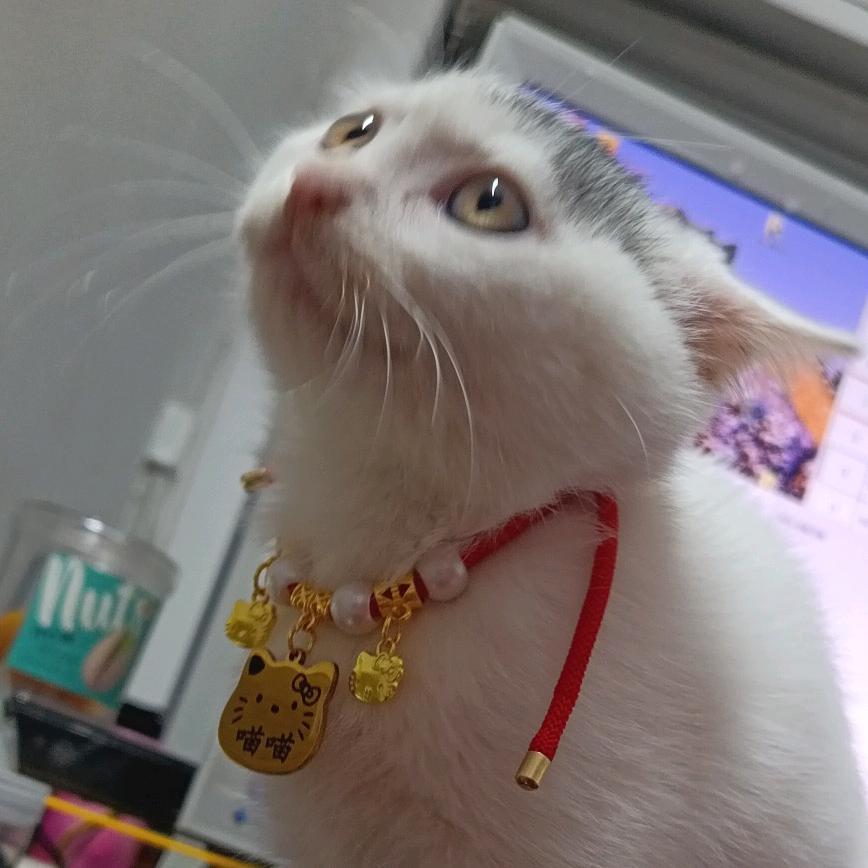 时笙