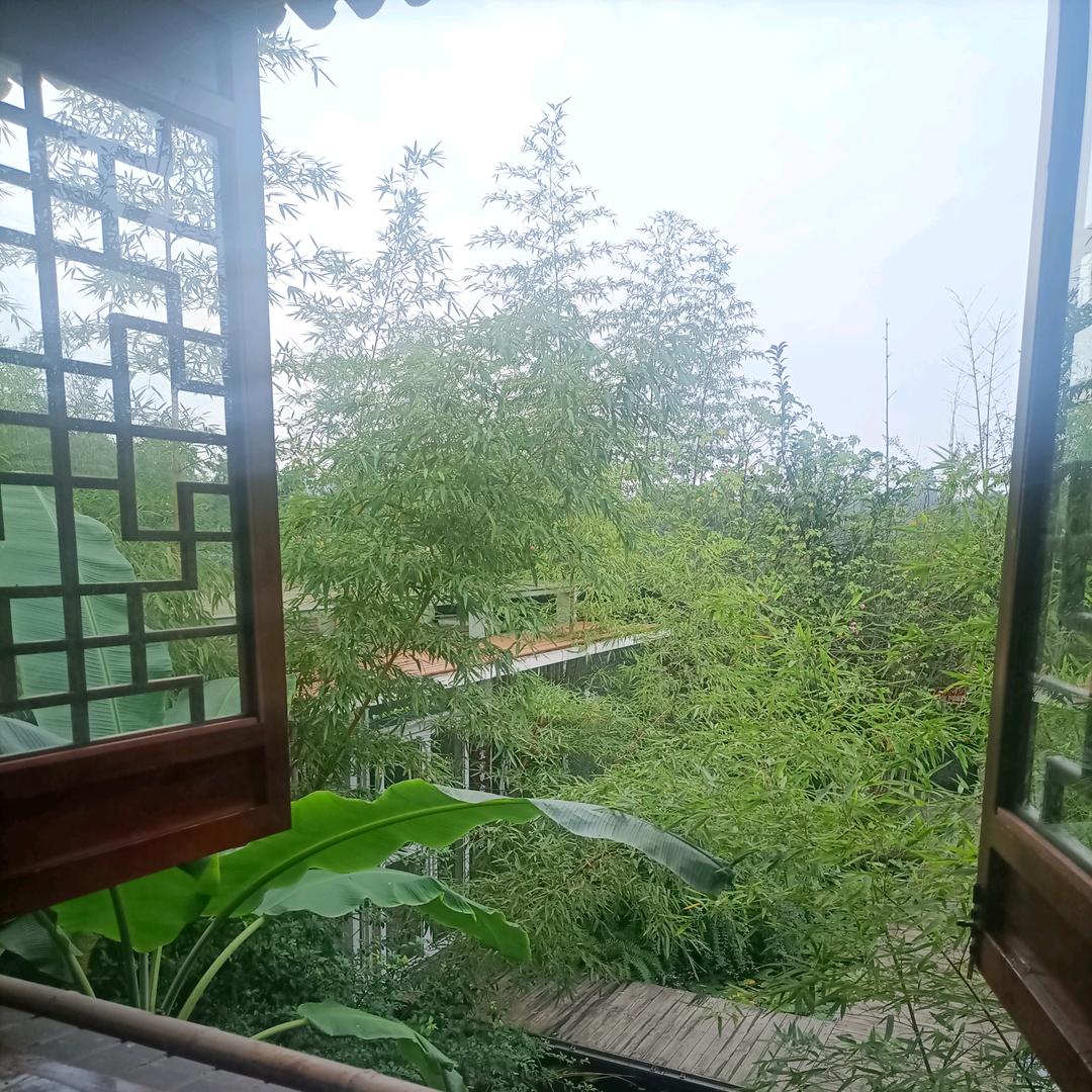 李在宜宾