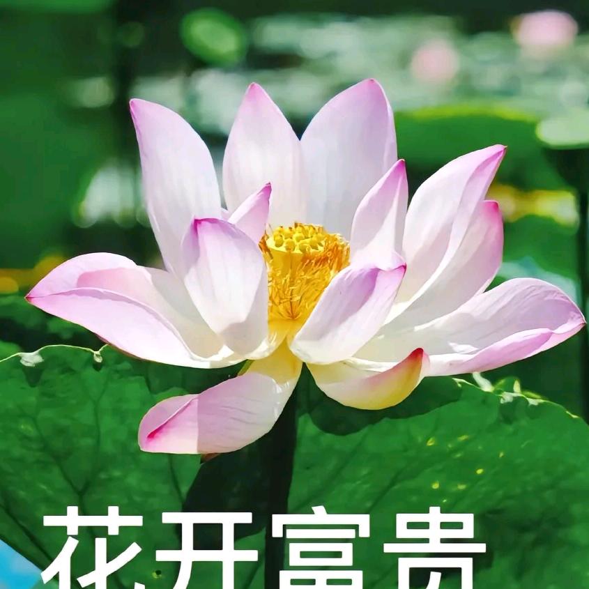 安徽...