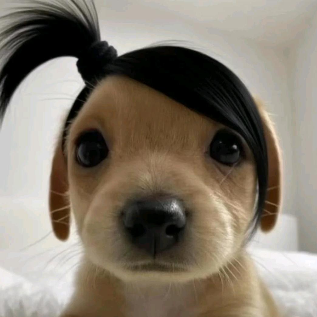 咚咚董