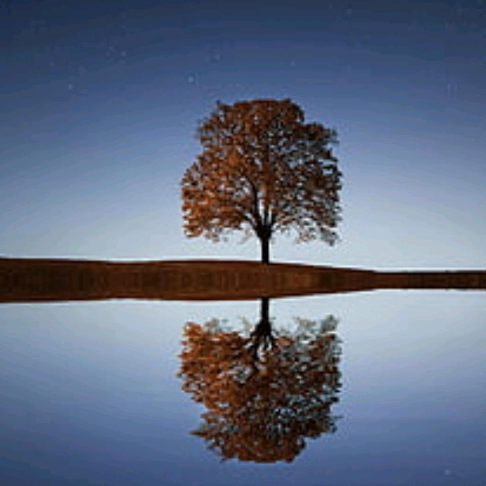 阿山73年二月二十五（吴）