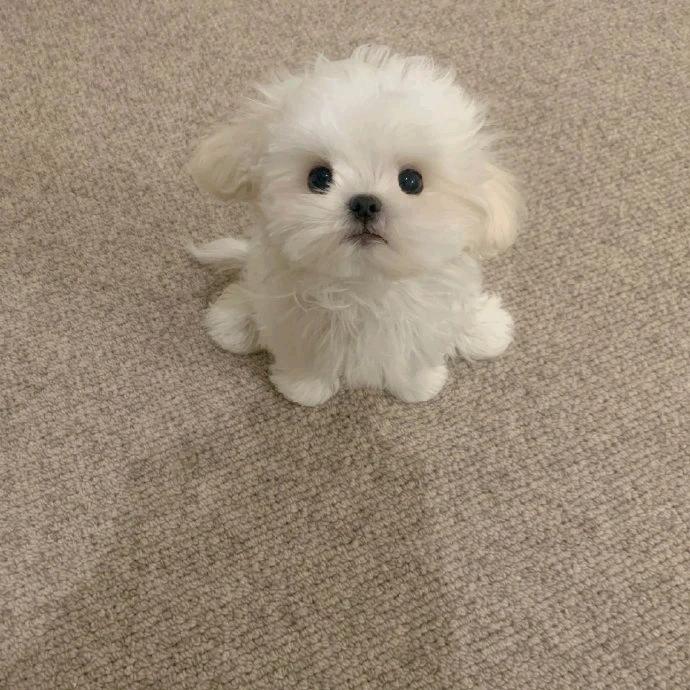 好想发疯啊