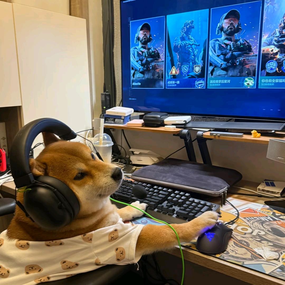 雾川 （三角洲行动）