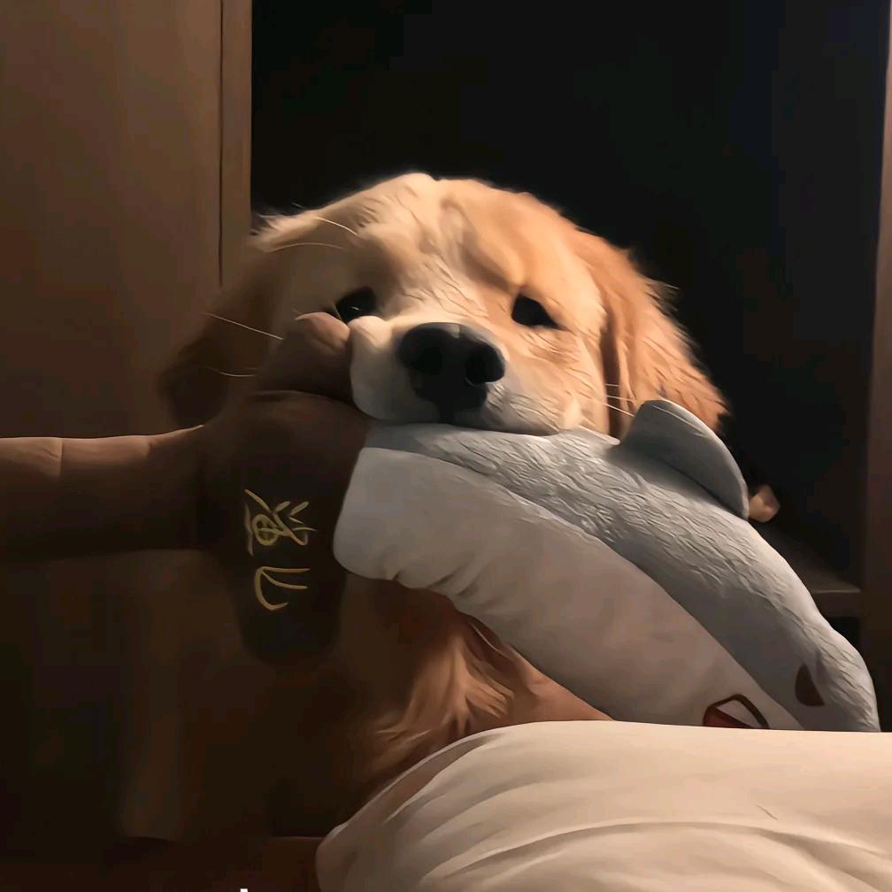 鲁修买么机