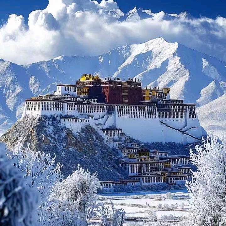 香烟🚬到头终是灰