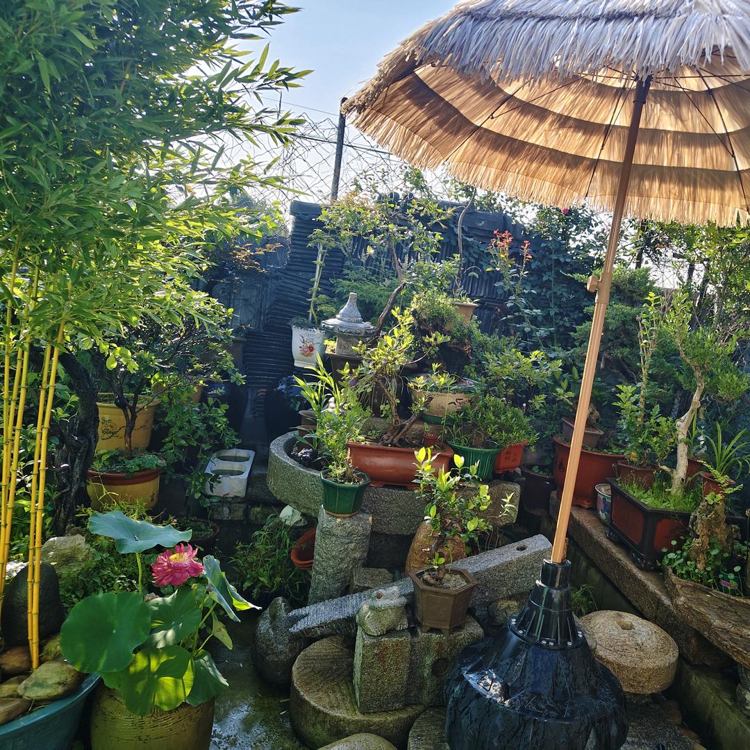 民俗风情园艺院