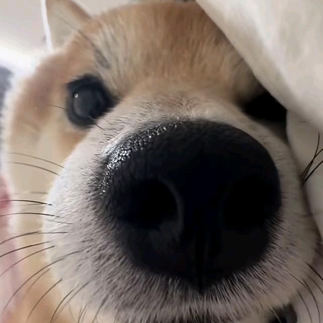 轨迹