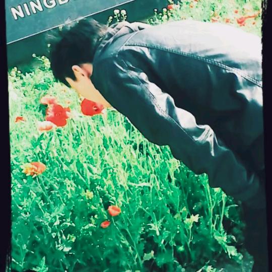 ☞旧秦人•́⍛•̀