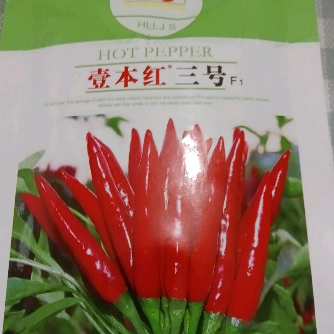 长垣伟哥