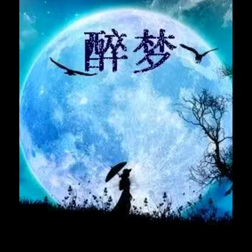 醉梦