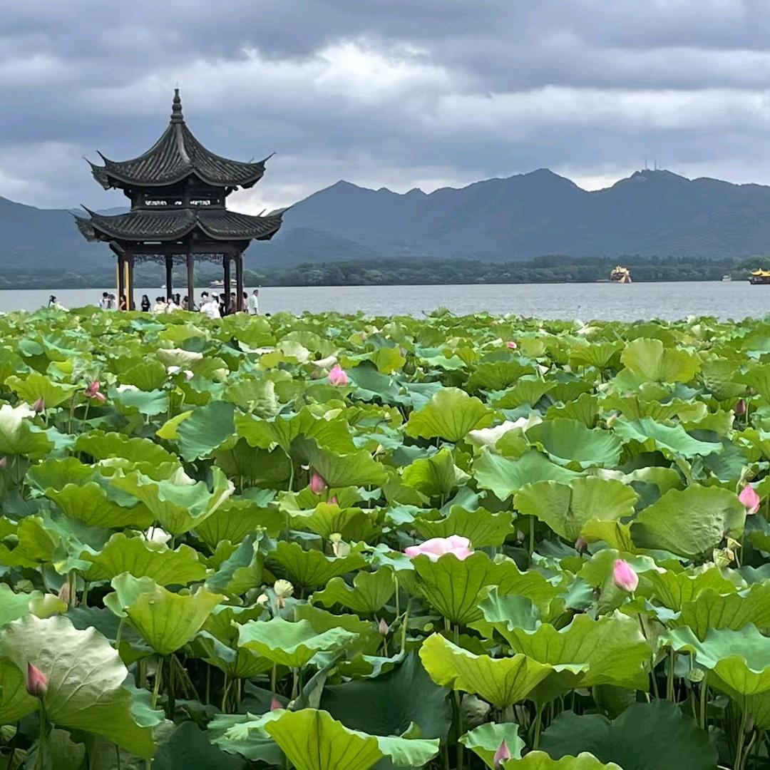 江夏庙山Aiabc英语学习中心