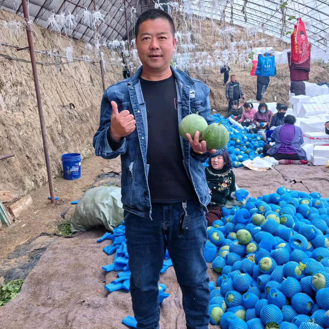 海军蔬菜瓜果代收