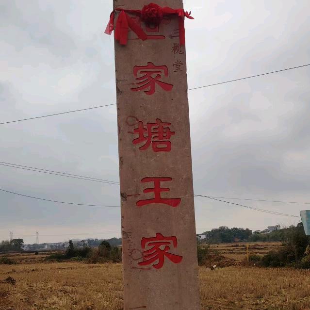 擒贼先擒王-先生