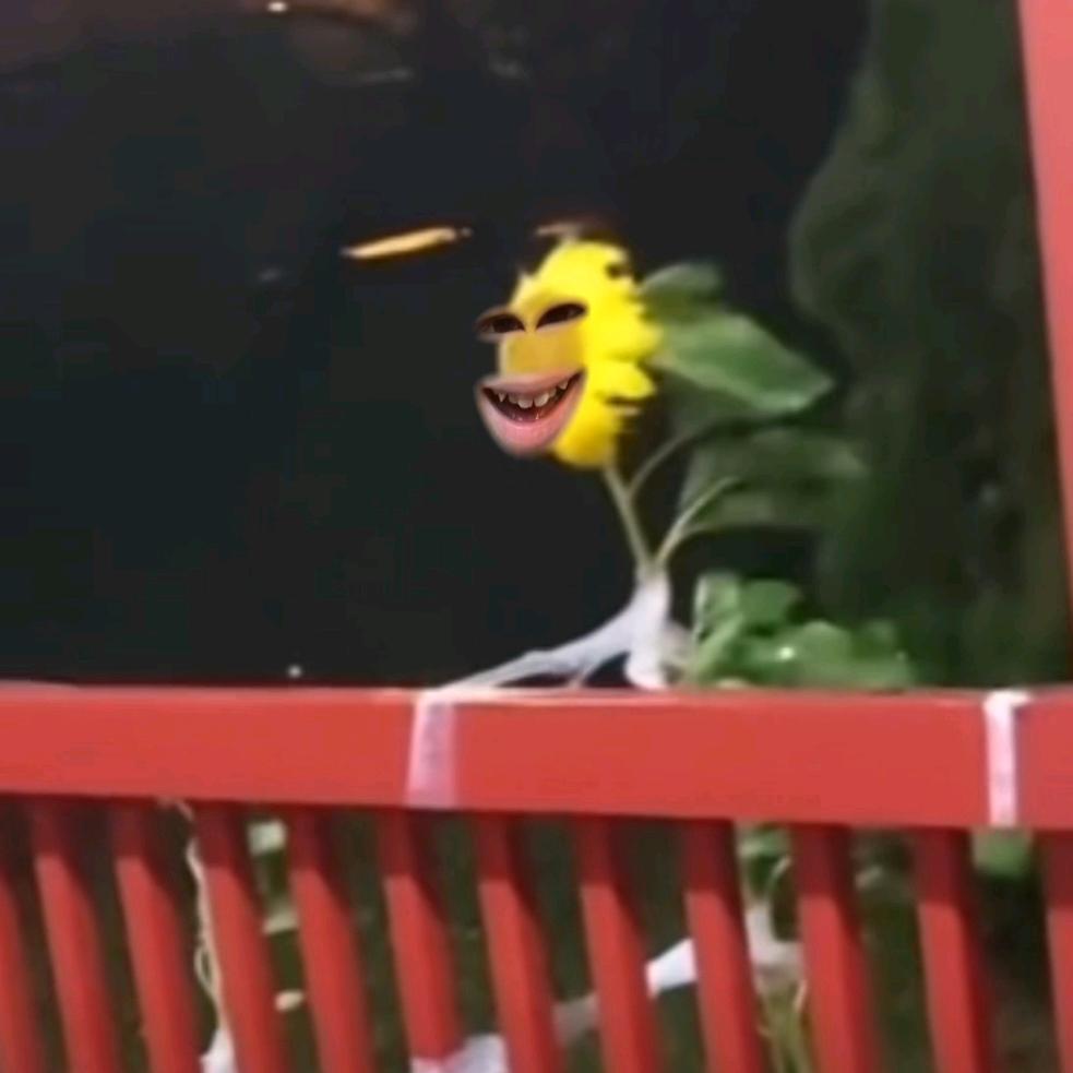 奥特曼