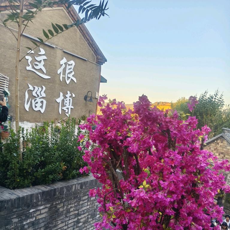 柠🎀檬