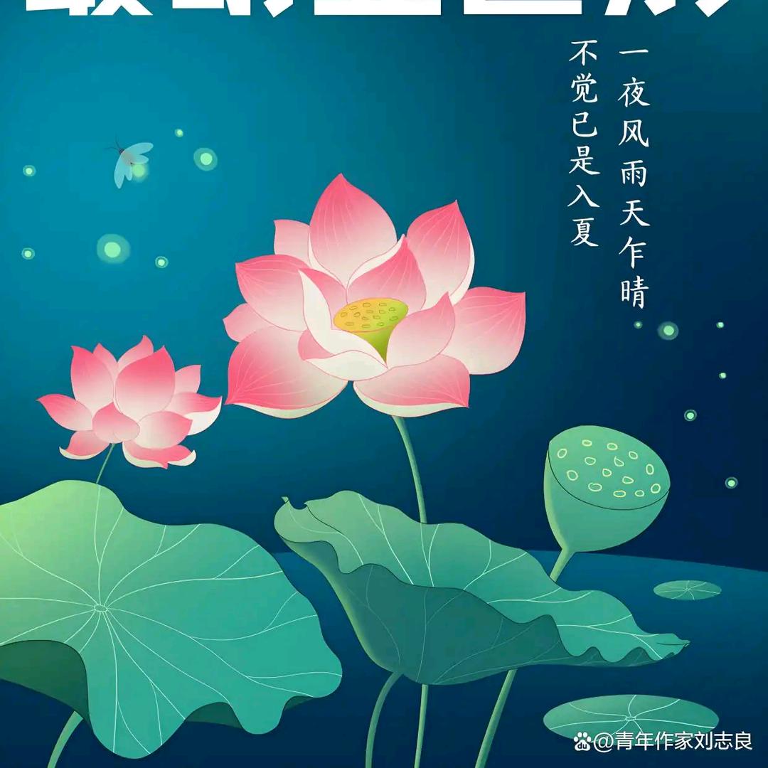 兰姐