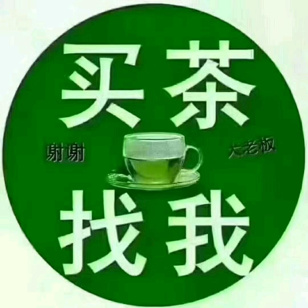 高山茶农