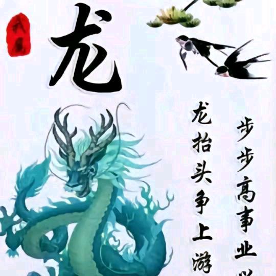 清🐉 ε • ̳ฅ风