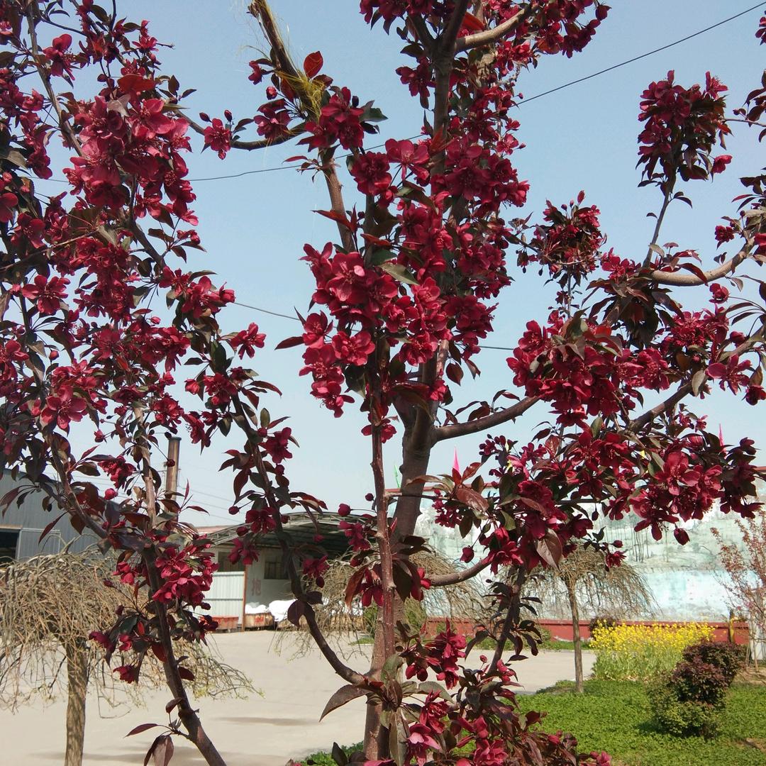 顺其自然的境界