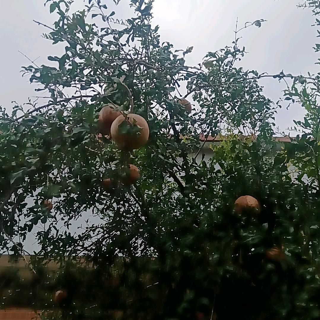 下雨的天