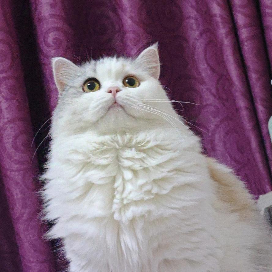 🌈🌈🌈秋秋日记